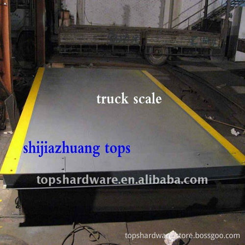 large scale rc truck